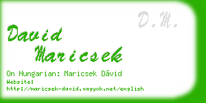 david maricsek business card