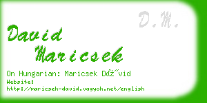 david maricsek business card